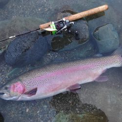 ７０オーバーキャッチ！ ～天竜川ルアーフライ専用区～